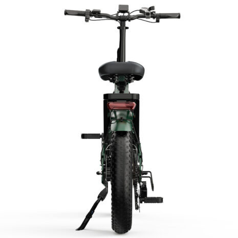 Fat Bike OVIVO V2 PRO