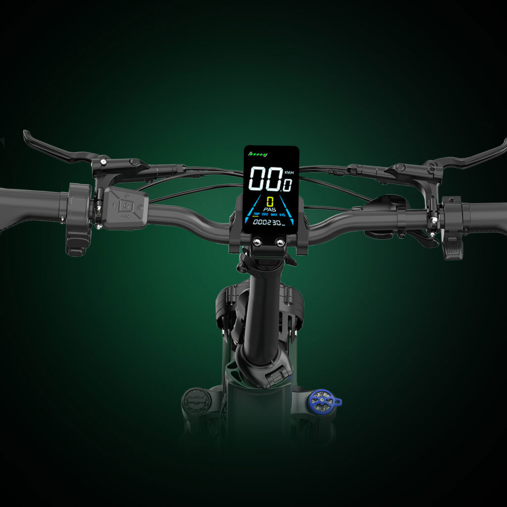 Fat-bike-elettrica-V2PRO