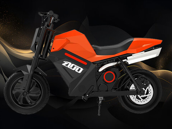 minimoto-elettrica-Z100 Minimoto elettriche Z100